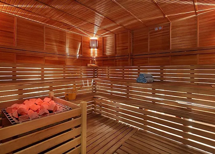 Sea Shell & Complex Side