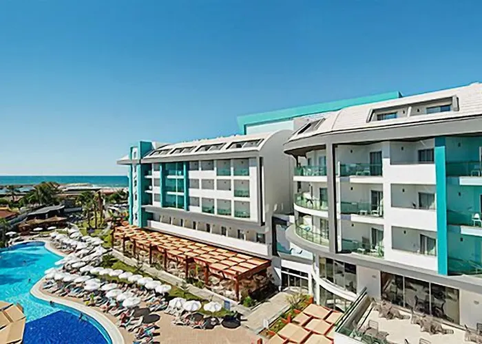 Sea Shell & Complex Side