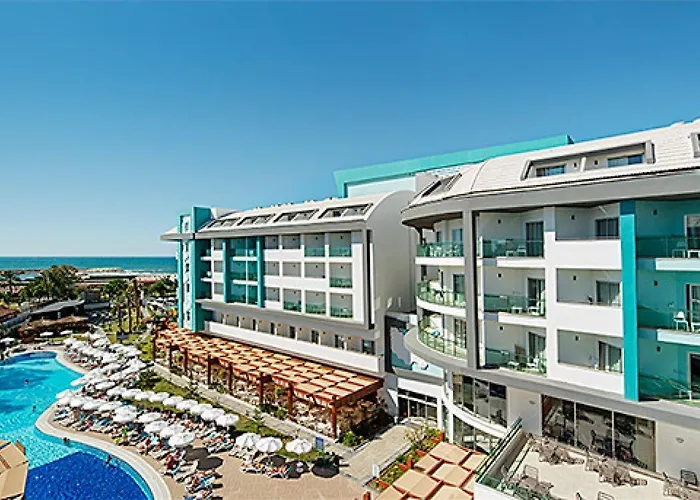 Sea Shell & סייד