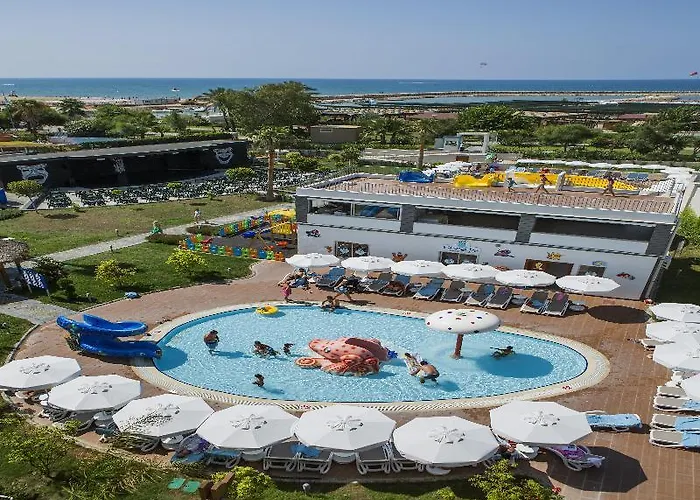 Resort Sea Shell & Side