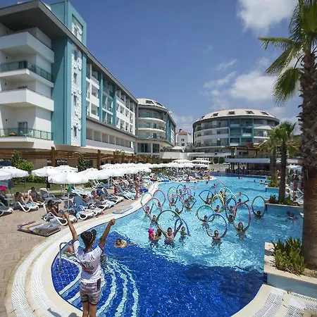 Sea Shell & 5* シダ