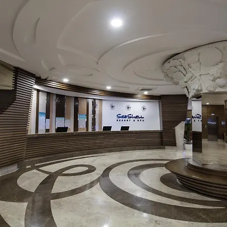 Sea Shell & 5* シダ